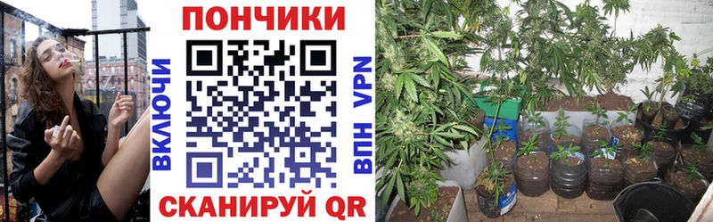 hydra как войти  Балашиха  Конопля планчик  купить наркоту 